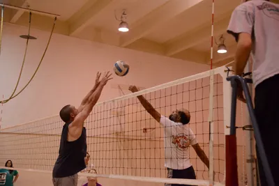 DSC_1831 (Large).JPG